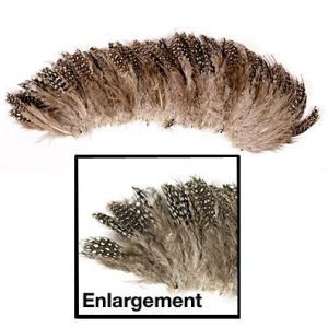 Small Dot Guinea Hen Plumage - Strung