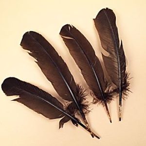 All Brown Turkey Wing Seconds