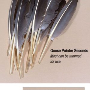 Goose Pointer Seconds