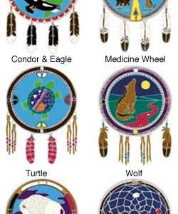 Native Visions Decals