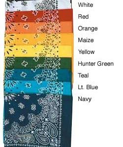 Fashion Bandanna
