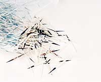 Porcupine Quills