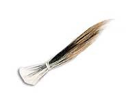 Porcupine Guard Hair