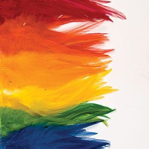 Bright Color Saddle Hackle - 1/4 Oz