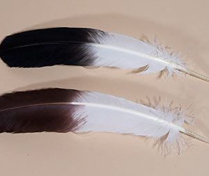 Immitation Eagle Wing Feathers