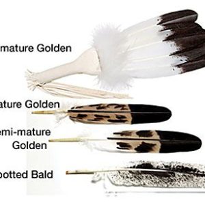 Deluxe Flat Fan Kit