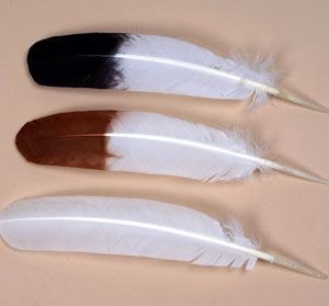 Regular Wing - Trimmed