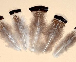 Mottled Turkey T-flats