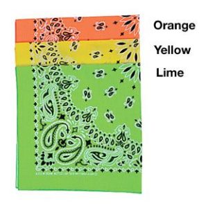 Neon Bandanna